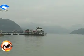 三峡旅游“水上巴士”大周镇一日游航线正式开通视频封面