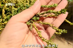 “湿疹、皮肤瘙痒”怎么办？农村不起眼的扫帚籽，值得收藏！