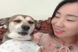 主人让狗狗唱歌，看狗狗是怎么唱的，结局厉害了