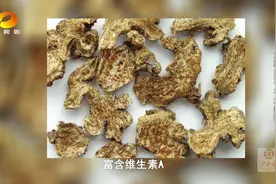 药学博士带你了解散寒除湿的苍术，兼明目功效适合小孩治用眼过度视频封面