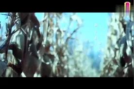 民谣之《枯藤老树昏鸦》，诗一般的音乐，纯净心灵视频封面