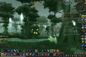 魔兽世界，又来泰罗卡森林，在走影月谷魔能熔池，重温黑暗神殿！视频封面