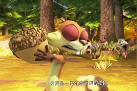 蹦蹦是一只一吃坚果就会过敏的松鼠吗？这事情一定有什么蹊跷视频封面