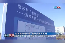 打造强劲增长极 建设美丽南苏州  王庆华李铭专题调研吴江开发区视频封面