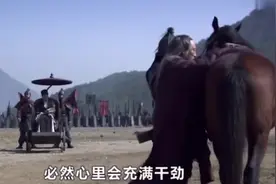 历史揭秘：诸葛亮没有残疾，为何一直坐四轮车呢？视频封面