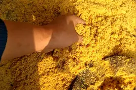 砍树后的树桩很难处理，看农村大哥的奇思妙想视频封面