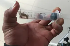 抓了两只蚰蜒做了一个真空实验，它们比苍蝇还厉害