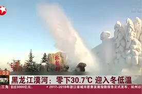 漠河迎入冬最低温，降至零下30.7度，南方游客：就是想感受这种冷视频封面
