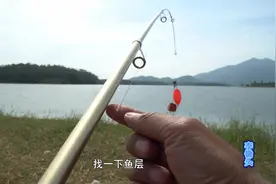 小哥钓鲢鳙大头鱼，4条竿子浮钓两种水深，看看那条竿先上鱼