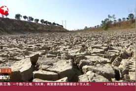 安徽合肥持续干旱，无有效降雨，滴灌技术实现节水保苗视频封面