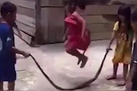 三个小孩用一条死蛇当跳绳玩耍 网友评论：硬核童年！视频封面