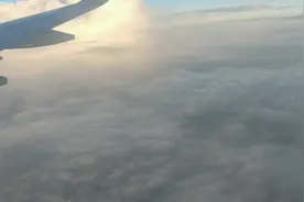 飞机餐居然是什么？大哥吃了不够还找空姐要，有这么好吃吗？视频封面