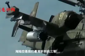 中央军委：我国空军和海军有司令，陆军没有，这是为何？