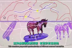 你的脑子是如何想象一幅从未见过的画面的呢？视频封面