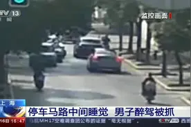 停车马路中间睡觉 上海一男子醉驾被逮个正着视频封面