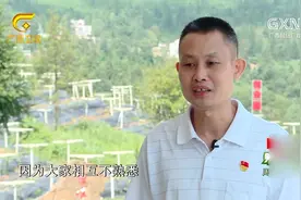 第一书记：黄书记走访群众了解需求，以此制定工作思路和措施视频封面