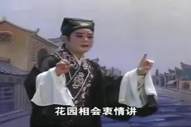 湖南南县花鼓戏《岳父狠心将我赶》宁乡正调视频封面