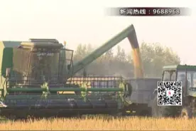 亩产高达2100多斤！沭阳“超级水稻”丰收了