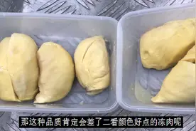 冻榴莲肉价差很大，因为冻肉分为ABC三个等级，成熟度也不一样