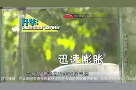 常见的干冰该如何保存，能否放在冰箱里？看完视频你就知道了视频封面