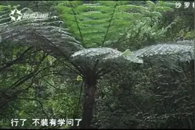 在印度，耆那教信徒占总人口的千分之三，享受特殊的待遇视频封面