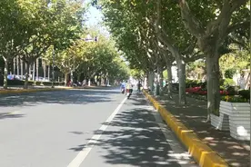 上海郊区没想到有一条这么美的路，比市区还好简直成了一道风景线