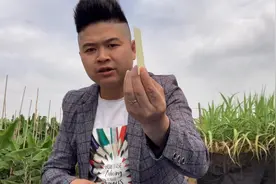 两年的车子办年审，小伙自己轻松搞定，方法简单，你看了也会视频封面
