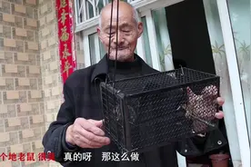 放了半个月的老鼠笼子 今天终于抓到了 但是却不是老鼠视频封面