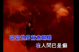 经典回忆- 鸳鸯蝴蝶梦视频封面