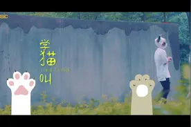 学猫叫- 原唱小潘潘 小峰峰 洗脑神曲MV视频封面