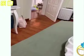 感受一下呼之即来，挥之则去的感觉视频封面