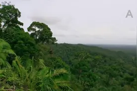 能救命的视频，你要不要来看看