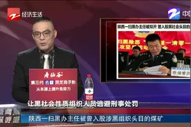 陕西一扫黑办主任被双开，曾入股涉黑组织头目的煤矿...视频封面