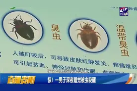 男子深夜睡觉被虫咬惊醒，一查竟是可怕吸血虫，这虫怎么来的？视频封面
