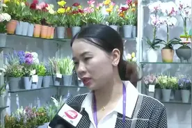 广交会二期闭幕！民营企业成交良好，成交额突破2.5亿美元视频封面