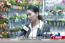 广交会二期闭幕！民营企业成交良好，成交额突破2.5亿美元视频封面