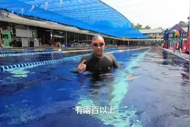 燿宇教练谈自由泳和蛙泳的区别！