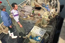 山东青岛，渔民出海捕回野生“海簸箕”，市场上难买到，太稀罕了视频封面