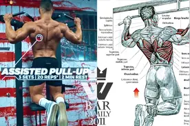 【背+手臂】训练！15个动作练出强壮手臂+背部倒三角视频封面