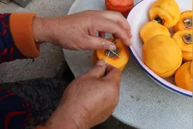 如何自己动手制作柿子干？看烟台栖霞农村的土方法