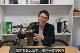 在阳台上用腐叶土种的兰花，为啥发芽率低、长不好、还不上花呢？视频封面