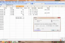 Excel表格 利用函数功能计算BMI指数的平均值