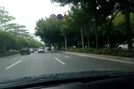 《白狐》男生版最好听的版本，没有之一！