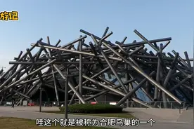 中国十大最丑建筑之一，合肥的鸟巢，上面竟然真的有很多鸟