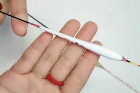 钓鱼技巧，芦苇和孔雀灵浮漂的优缺点！