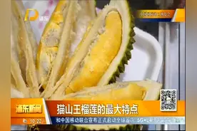 榴莲界 的LV！猫山王榴莲首进进博会，一举拿下500万美元订单视频封面