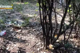 无人管理的停车场  环境脏乱差视频封面