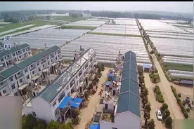 精准扶贫：湖北省农科院运用“五法”，助力全省精准扶贫工作！视频封面
