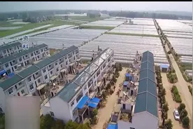 精准扶贫：湖北省农科院运用“五法”，助力全省精准扶贫工作！视频封面