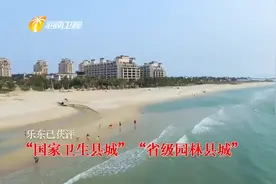 乐东获评“国家卫生县城”与“省级园林县城”视频封面